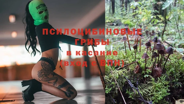 не бодяженный Богородицк